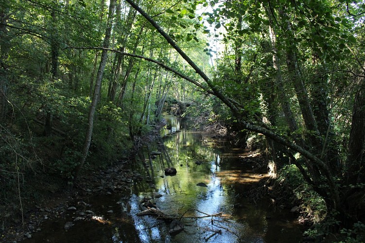 De la Morge au Puy de Loule