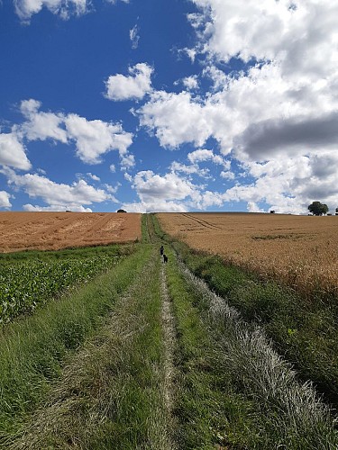 En montant vers le Puy de Loule
