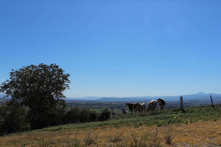 Rando de la Morge au Puy de Loule