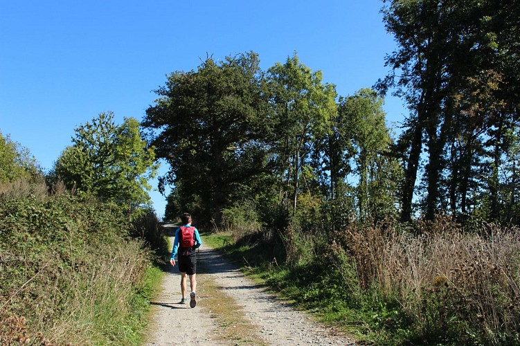 La Cathédrale des Montagnes