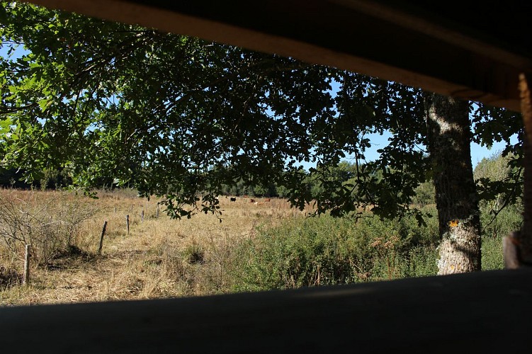 Rando la Cathédrale des Montagnes