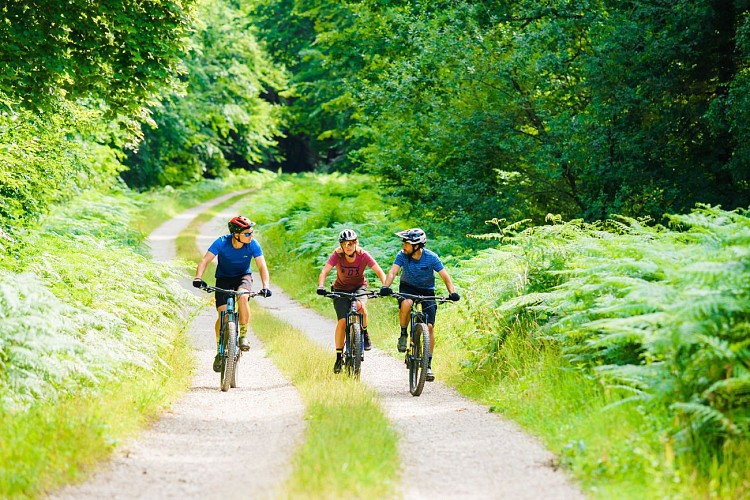 Boucle VTT du Parc n°1 : Circuit familial de la Noëlle