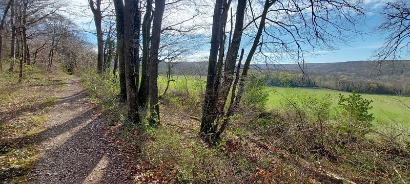 Boucle VTT du Parc n°1 : Circuit familial de la Noëlle