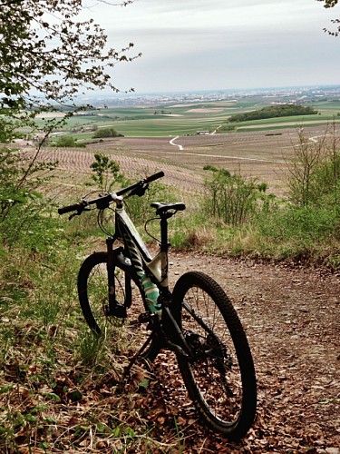 Boucle VTT du Parc n°2 : Circuit sportif de Sermiers