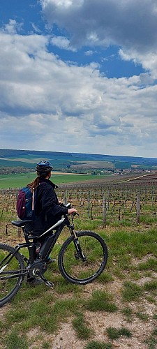 Boucle VTT du Parc n°3 : Circuit sportif de l'Ardre