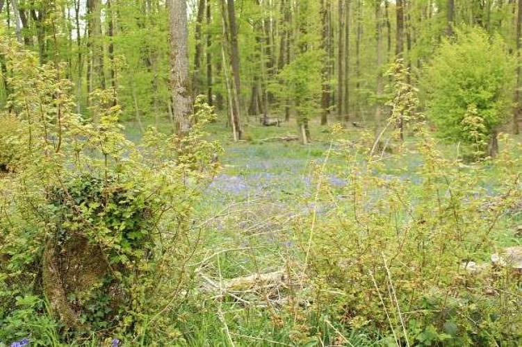 Boucle VTT du Parc n°3 : Circuit sportif de l'Ardre
