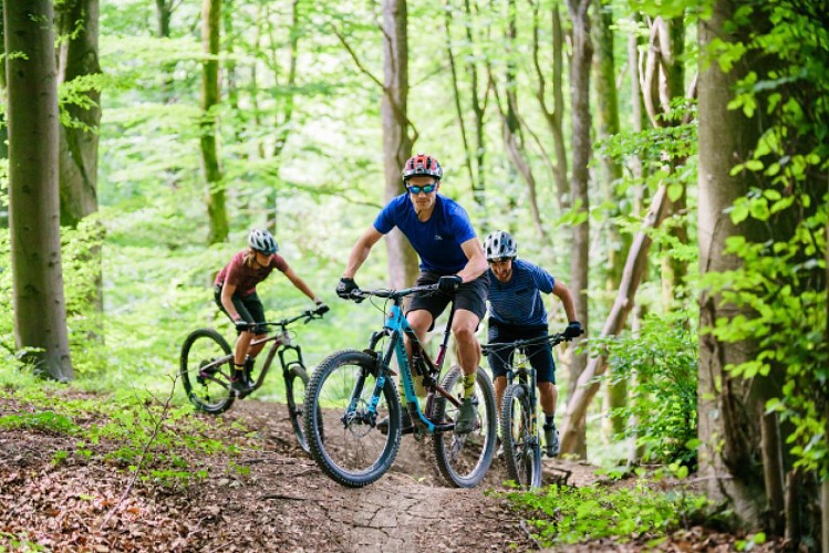 Boucle VTT du Parc n°4 : Circuit familial de Sacy