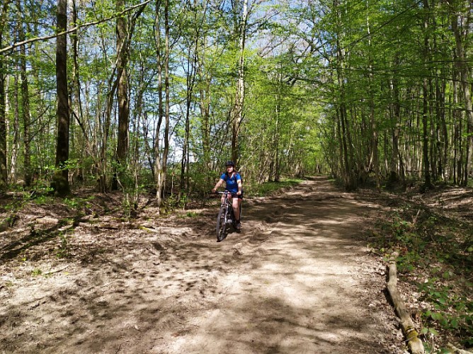 Boucle VTT du Parc n°5 : Circuit sportif de Sacy