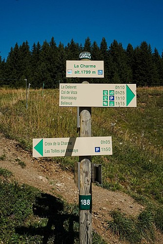 Charme pasture trails_Les Houches