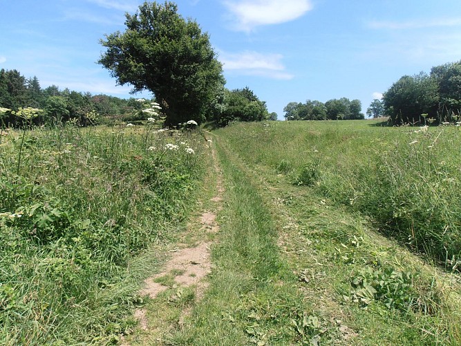 Randonnée Etang Magaud