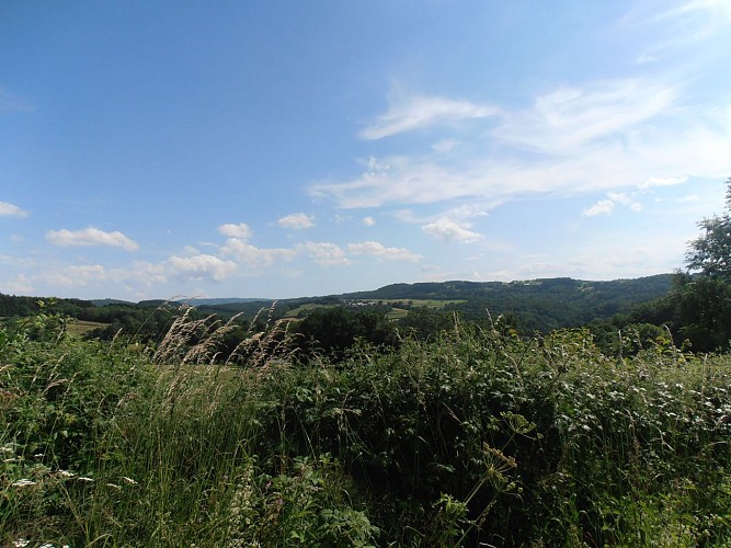 Randonnée Etang Magaud