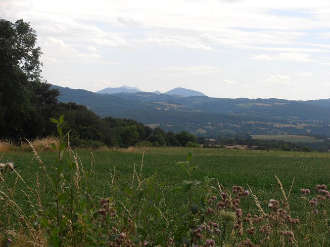 Randonnée Tableix - vue sur la Chaîne des Puys