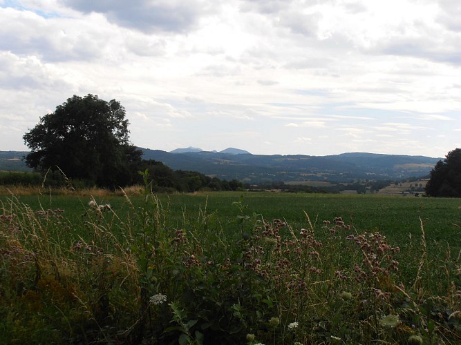 Randonnée Tableix - vue sur la Chaîne des Puys