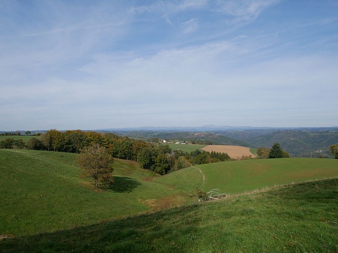 Hiking trail - Entre clocher et ruisseau de Cances