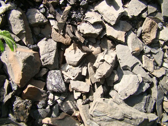 circuit du terril 97: d’une cité jardin à l’autre, la résidence du Parc, la cité des cheminots