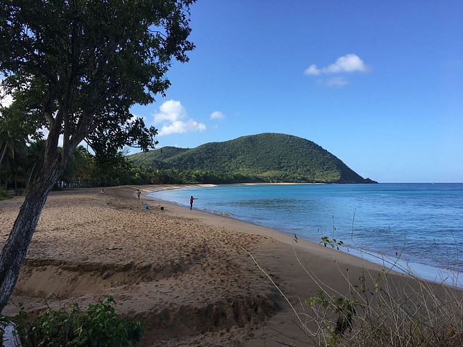 Le littoral de Sainte-Rose