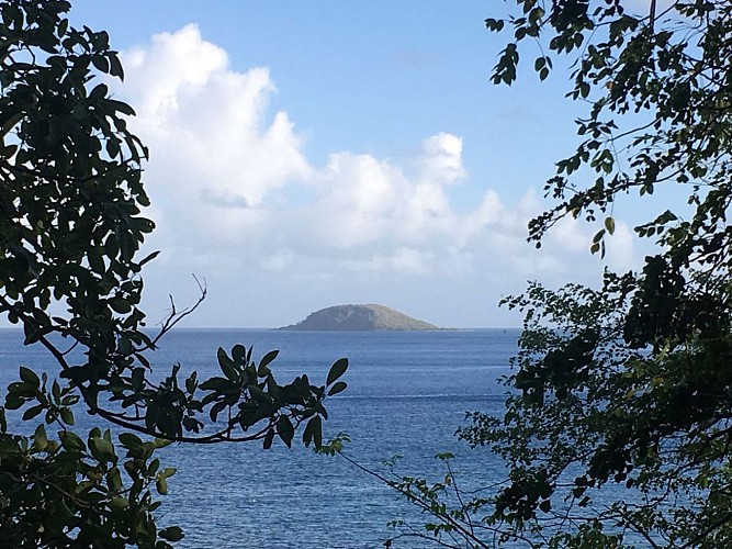 Le littoral de Deshaies