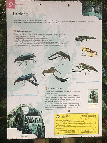 La trace de la rivière Quiock