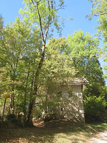 Sentier pédestre du Mont Clergeon - petite boucle_Ruffieux