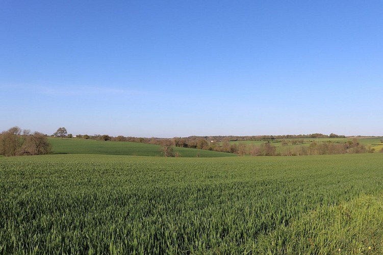 5 - St Paul en Pareds - Les Farfa'pieds sud