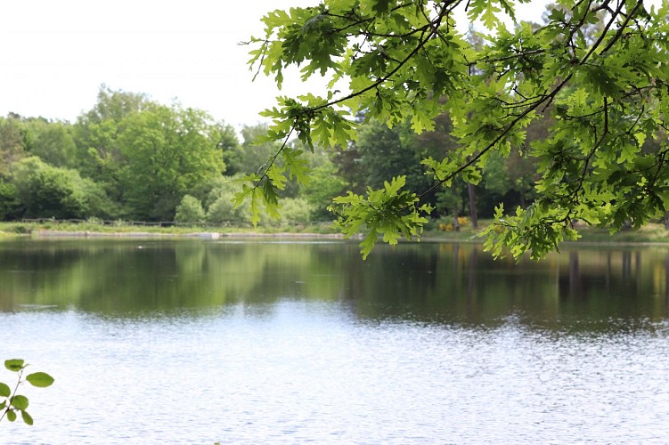 Circuit Poussette Étang du Chevalet