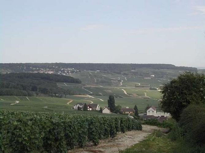 Circuit des Diablotines