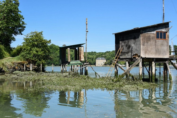 Du canal d'Ille-et-Rance à la Rance maritime en canoë