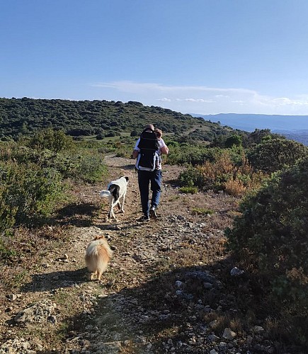 Nature and Heritage in Alaric