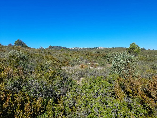 Nature and Heritage in Alaric