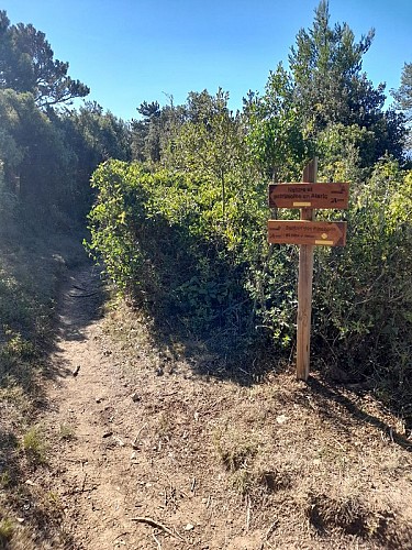 Nature and Heritage in Alaric