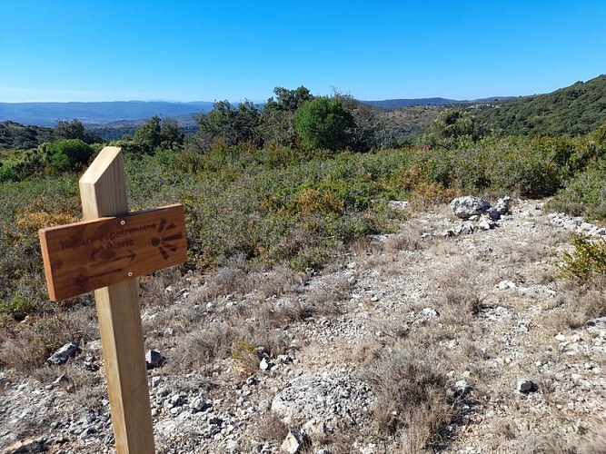 Nature and Heritage in Alaric