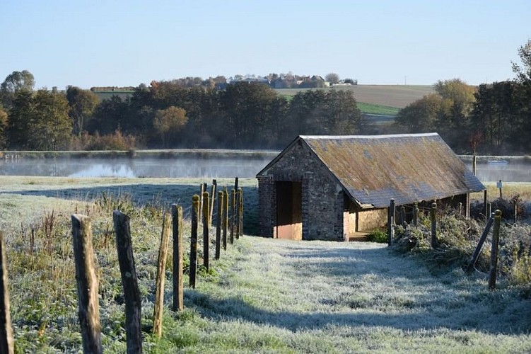 Lavoir de brunelles©Thierry Carlier