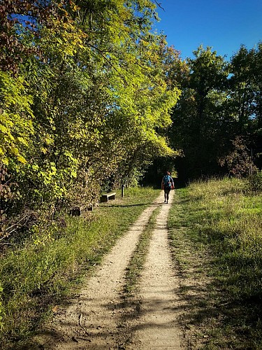 L'accès au Bois de Malmaison