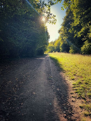 Rueil Malmaison et étang de St Curcufa