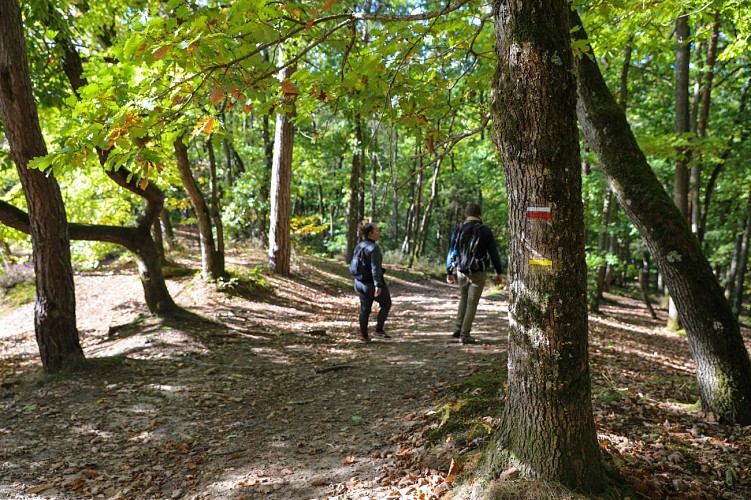 De la forêt de Dourdan à l'Orge