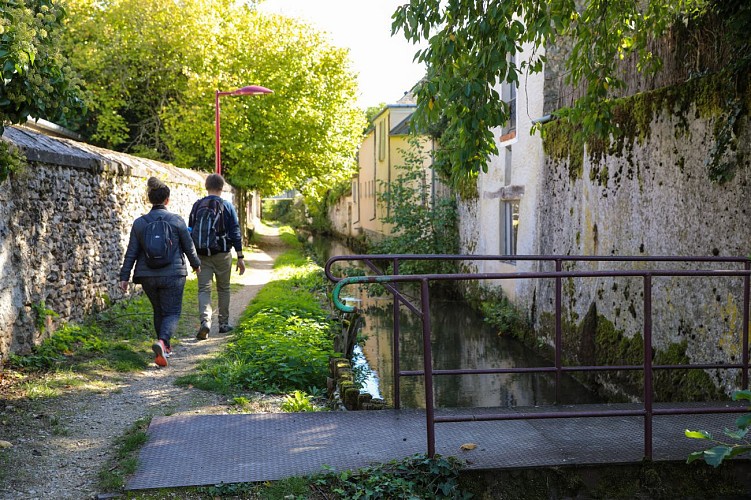 De la forêt de Dourdan à l'Orge