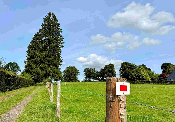 Libramont_ausuddubandechevigny©MTFSH-TEXTO Pascal Willems (98)