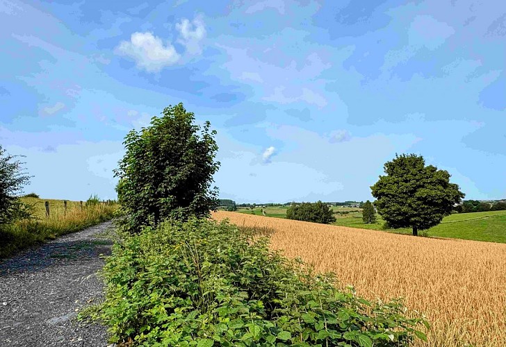 Libramont_ausuddubandechevigny©MTFSH-TEXTO Pascal Willems (47)