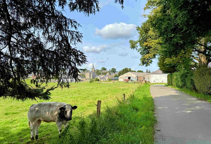 Libramont_ausuddubandechevigny©MTFSH-TEXTO Pascal Willems (75)