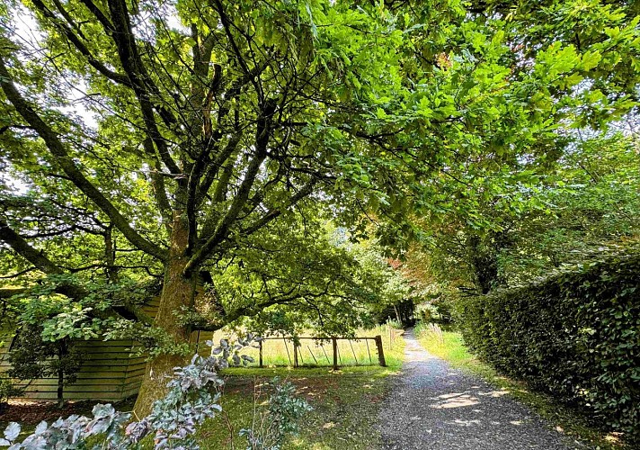 Libramont_promenade_deseglisesetdeschapelles©MYFSH-TEXTO Pascal Willems (84)