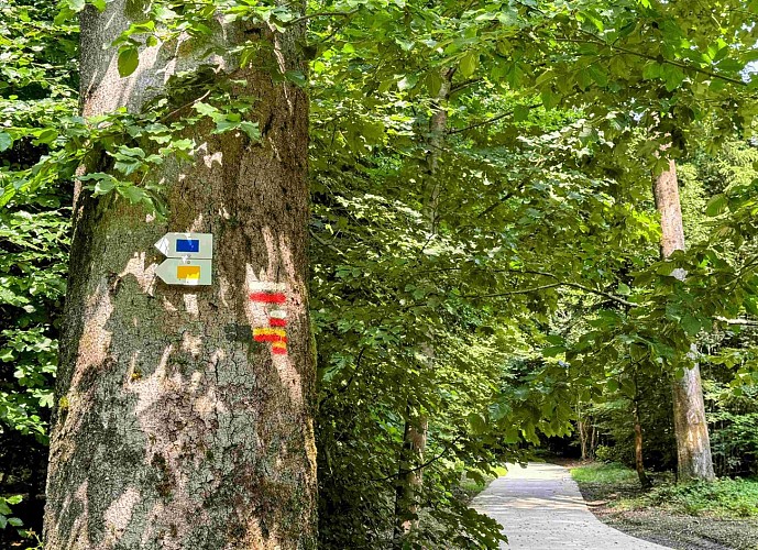 Libramont_promenade_deseglisesetdeschapelles©MYFSH-TEXTO Pascal Willems (87)