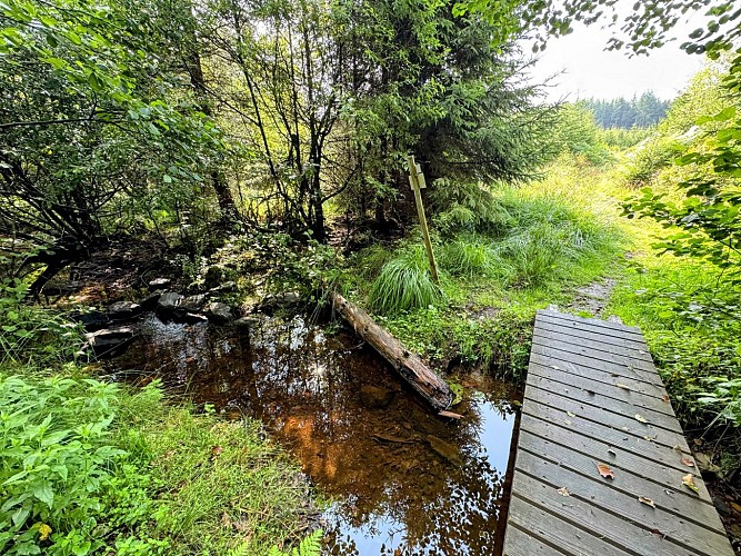 Libramont_promenade_du_serpont©MTFSH-TEXTO Pascal Willems (60)