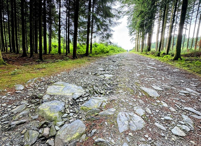 Libramont_promenade_du_serpont©MTFSH-TEXTO Pascal Willems (71)