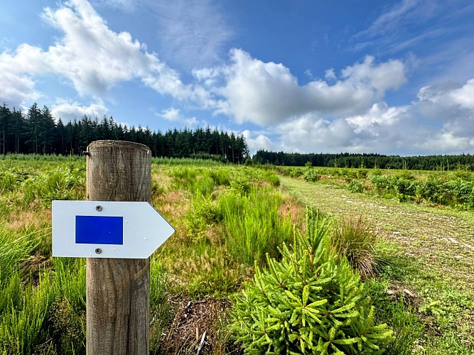 Libramont_promenade_du_serpont©MTFSH-TEXTO Pascal Willems (39)