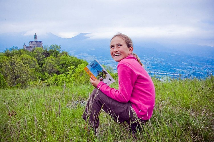 The dry lawns of Mont Saint-Michel