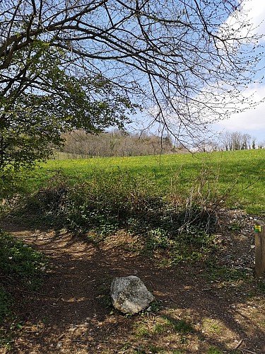 Les pelouses sèches du Mont Saint Michel