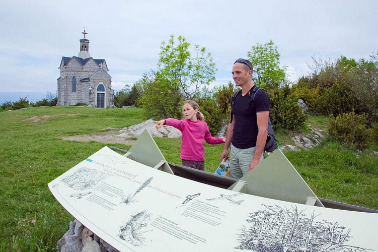De droge graslanden van de Mont Saint Michel