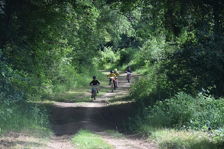 Promenons-nous dans les bois en VTT