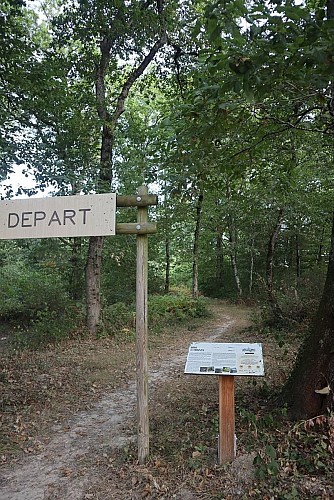 Activités ludiques au Bois des Moines