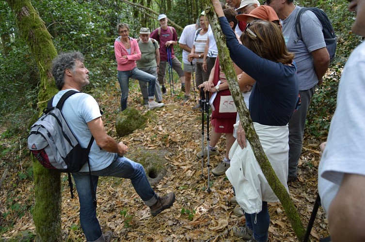 Randonnée sur la voie celte Laizy